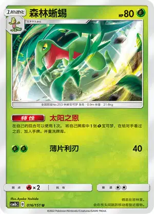 Grovyle (XY5 4/70) - Gaia Volcano | Japanese Cardex | Card
