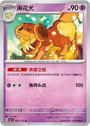⭐︎SHOHEBX⭐︎ Dachsbun (CSV1C 62/127) - Eternal Birth | Chinese Cardex | Card