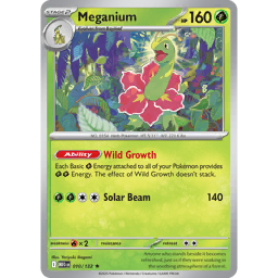 PSA7 メガニウム 英語版 Meganium 11/111 2000年 PSA7 メガニウム 英語