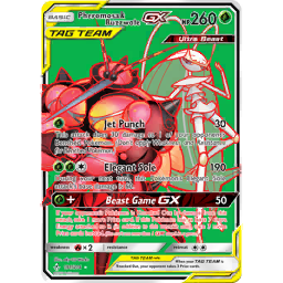 ポケットモンスター
タウンマップ　×8冊 状態A-〕スターターセットex『ピカチュウex&パーモット』(SVC