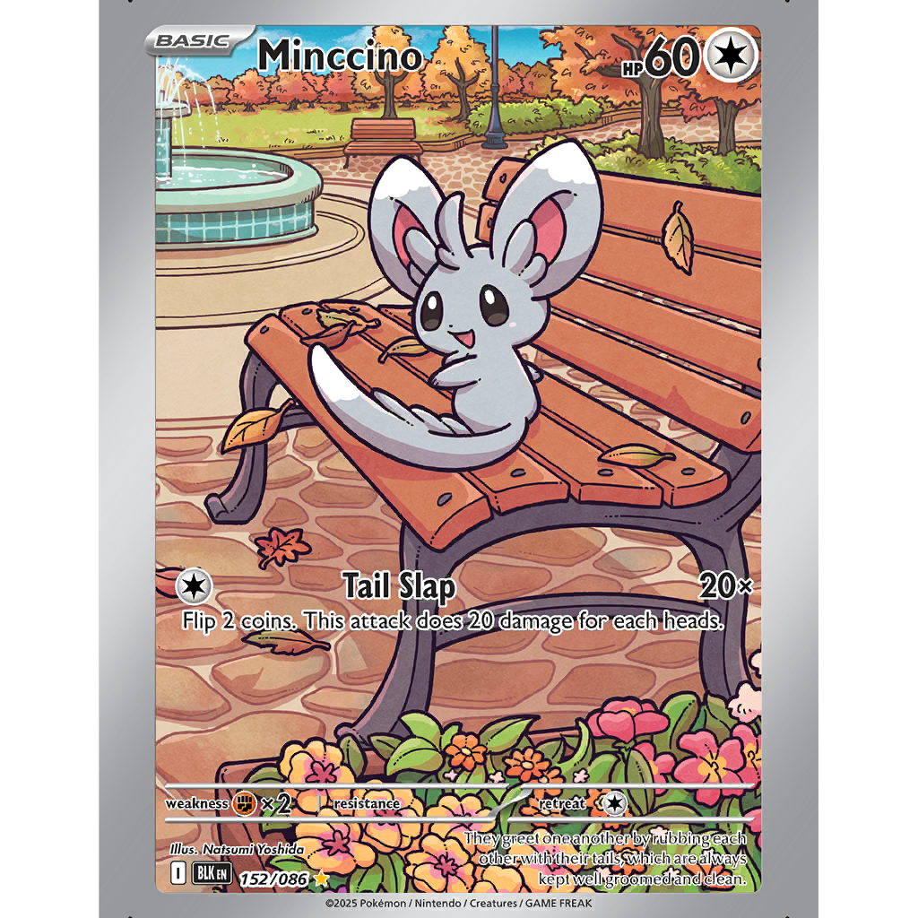 Minccino (BLK 152/86) - Black Bolt | International Cardex | Card
