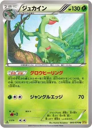 PSA10 ジュカイン　R 006/070 xy5 ガイアボルケーノ　フルアート R ジュカイン 買取 | [XY5] ガイアボルケーノ | ポケモンカード