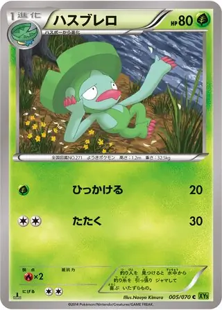 ハスブレロ (XY5 5/70) - タイダルストーム | 日本のカー