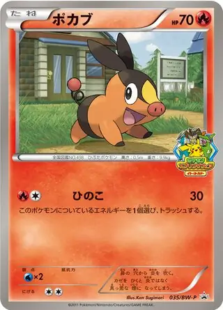 ポカブ　バトルトレインプロモ　BW-P 【PSA10】 ポカブ(019/BW-P) | プロモ | ドラゴンスター ネット買取