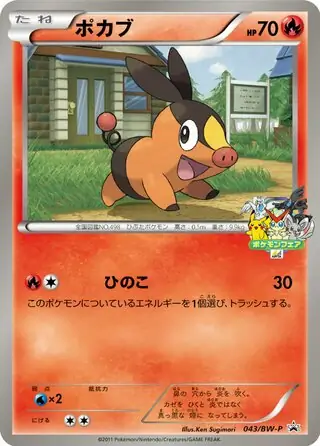 ポケモンカード　ミジュマルBW プロモ ミジュマル | ポケモンカードゲーム公式ホームページ