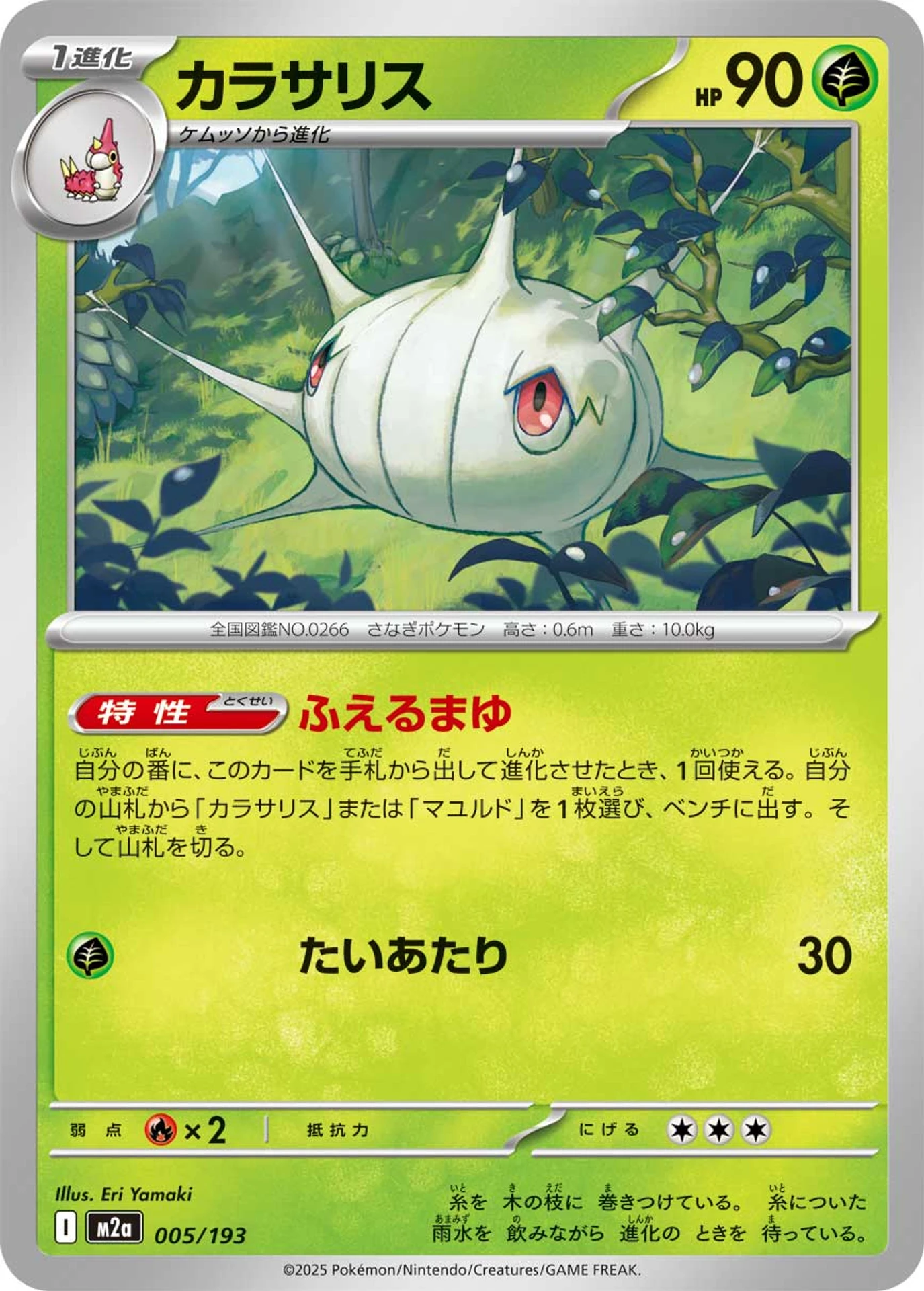 MEGA Dream ex | Japanese Cardex | Card Database + Card Tracker +